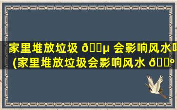 家里堆放垃圾 🐵 会影响风水吗(家里堆放垃圾会影响风水 🐺 吗为什么)